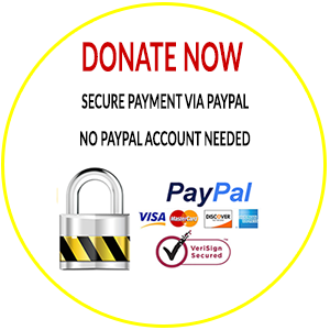 Donate using PayPal Button<br />
